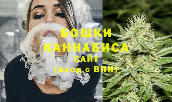 ГАЛЛЮЦИНОГЕННЫЕ ГРИБЫ Белокуриха