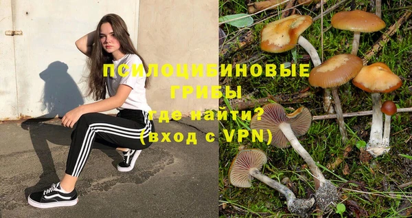 ГАЛЛЮЦИНОГЕННЫЕ ГРИБЫ Белокуриха