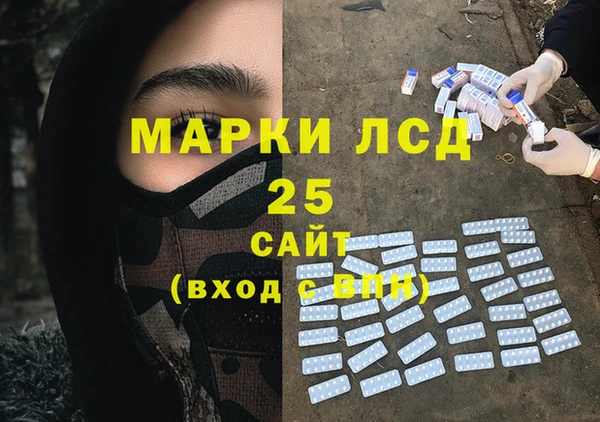 ГАЛЛЮЦИНОГЕННЫЕ ГРИБЫ Белокуриха
