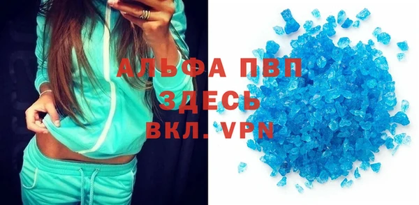 ГАЛЛЮЦИНОГЕННЫЕ ГРИБЫ Белокуриха