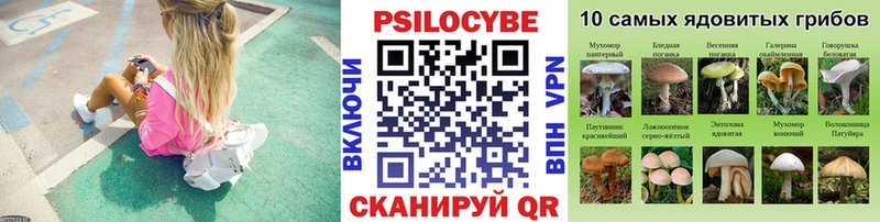 Псилоцибиновые грибы Psilocybe купить наркоту Плёс