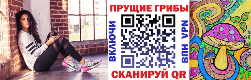 Галлюциногенные грибы Cubensis Плёс